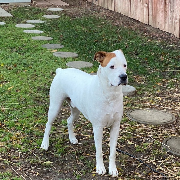 Meet your Posher, Telesa - Picture 3 of 7